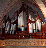 organ