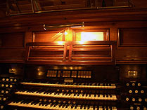 organ